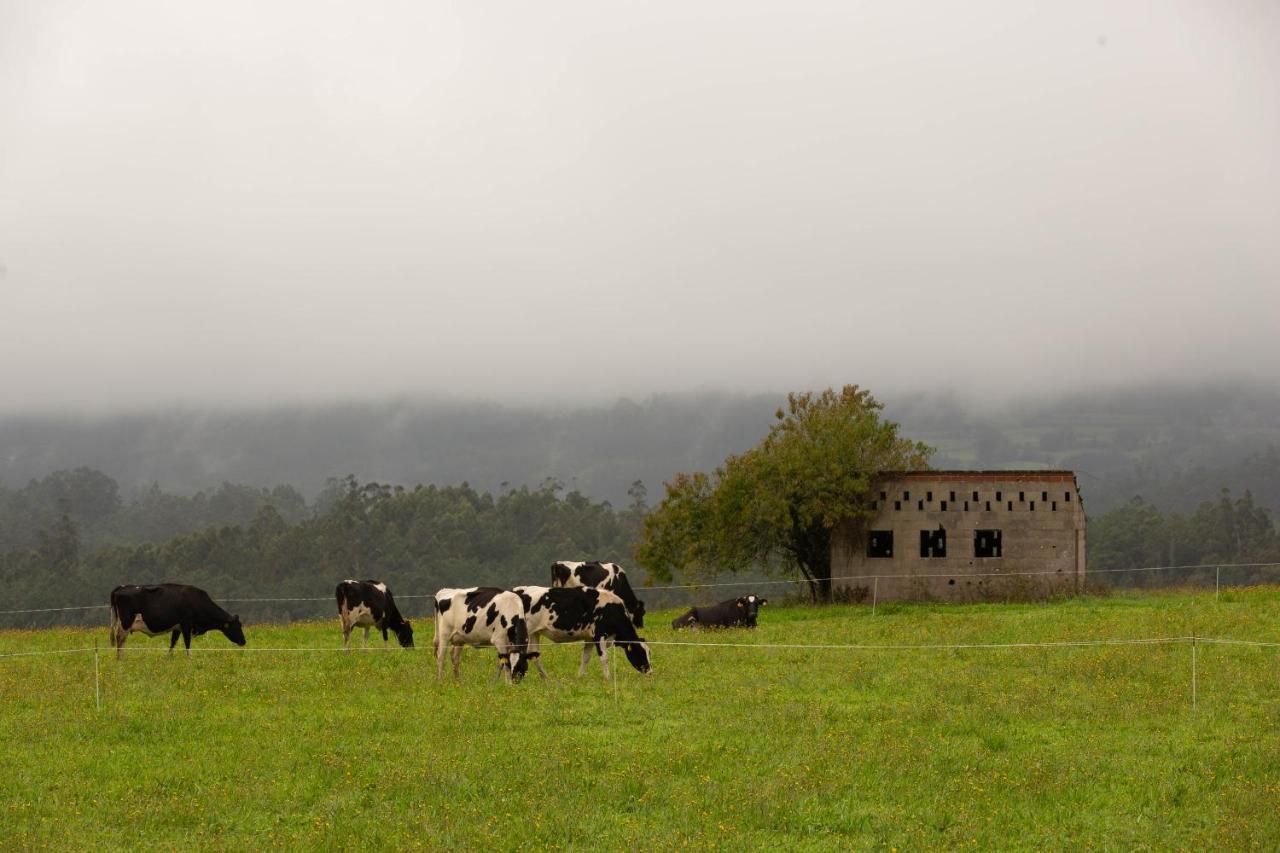 Amés Casa Rural Priorato San Martin旅馆 外观 照片